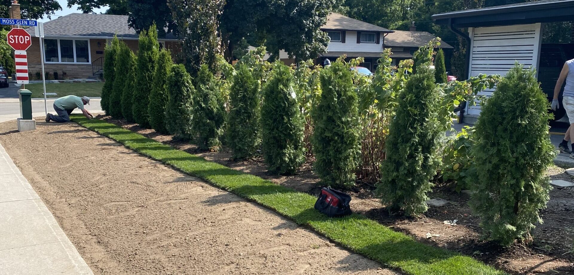 Mattarollo Tree and Landscape photo 5